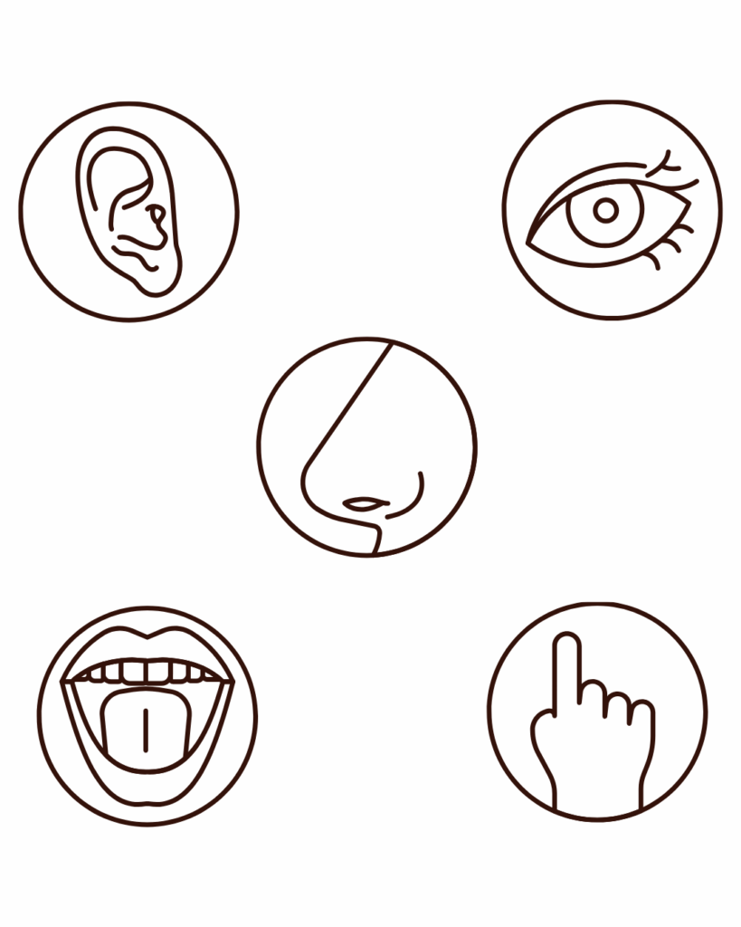 Pět ikonických symbolů smyslů (čich, zrak, sluch, chuť, hmat) pro smyslový marketing a vizualizaci brand awareness. Ideální pro webdesign a content marketing o ambientním marketingu.