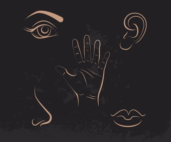 Minimalistická ilustrace obličeje s okem, uchem, nosem, ústy a rukou symbolizující smyslový marketing -propojení pěti smyslů v zákaznickém zážitku a lepší zapamatovatelnost značky